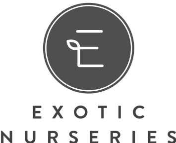 exoctic nurseries