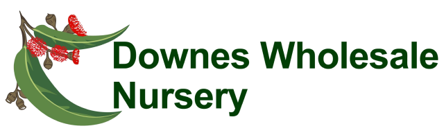 downes wholesale nursery
